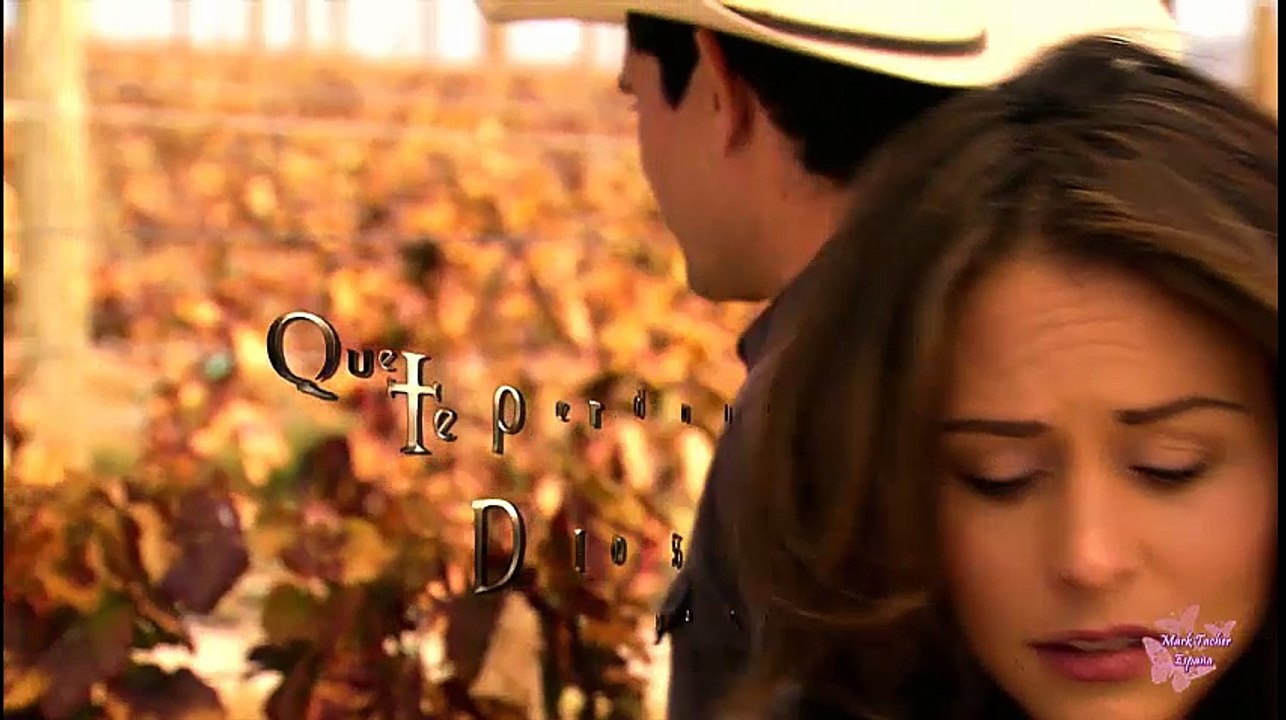 QTPD 104