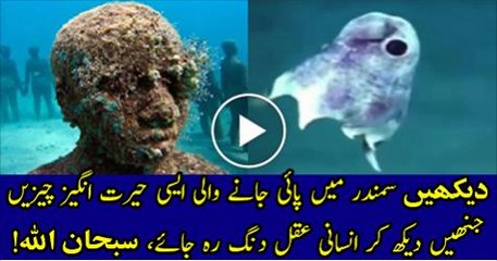 Allah-Ki-Qudrat-Samunder-Ka-Ander-Pai-Janay-Yali-Ajeeb-Cheezan-You-Never-Seen-In-Your-Life-New-2016