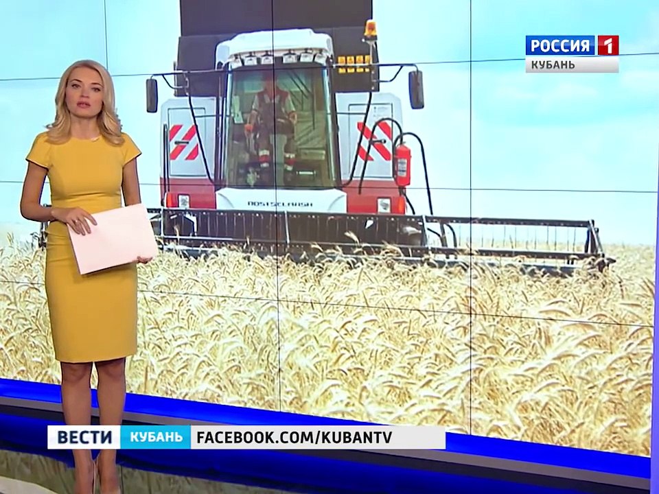 Комбайны Ростсельмаш помогают собирать урожай на Кубани (репортаж канала Россия 1)