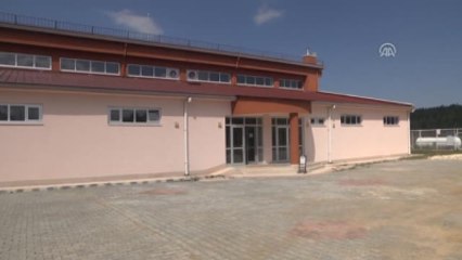 Resim Yapar Gibi Boks Yapıyor