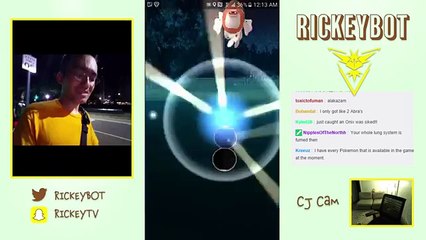Un streameur agressé pendant une chasse aux Pokémon