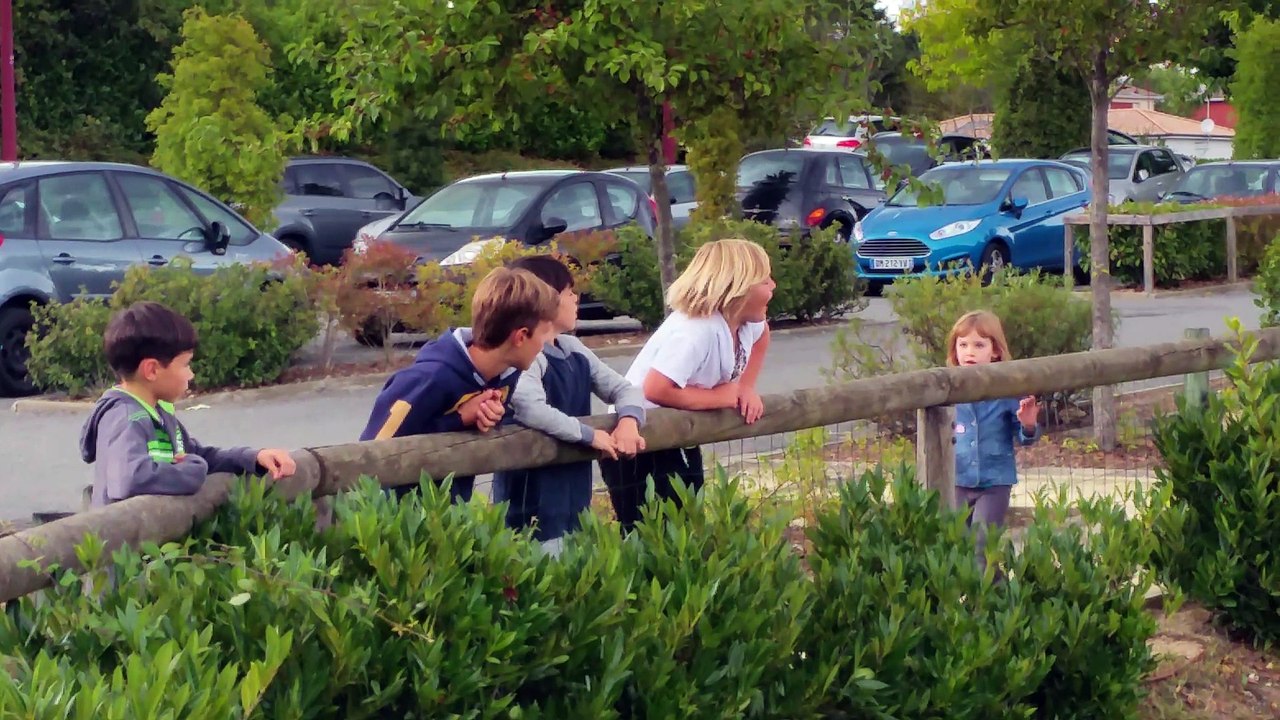 U10-11 supporters des U15