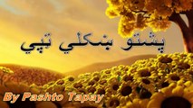Pashto Tapay 2016 New Tappy Best Tapay Sada Tapey Jana Khapal Watan Ta