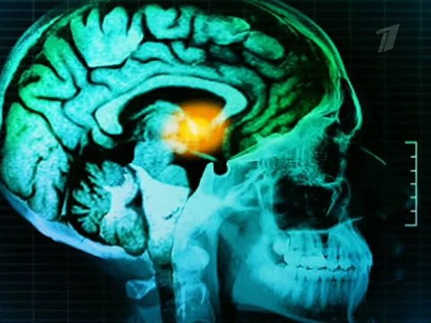 10 вещей, которые вы не знали о потере веса.