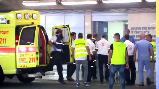 Palestinian man stabs two police officers in Israel