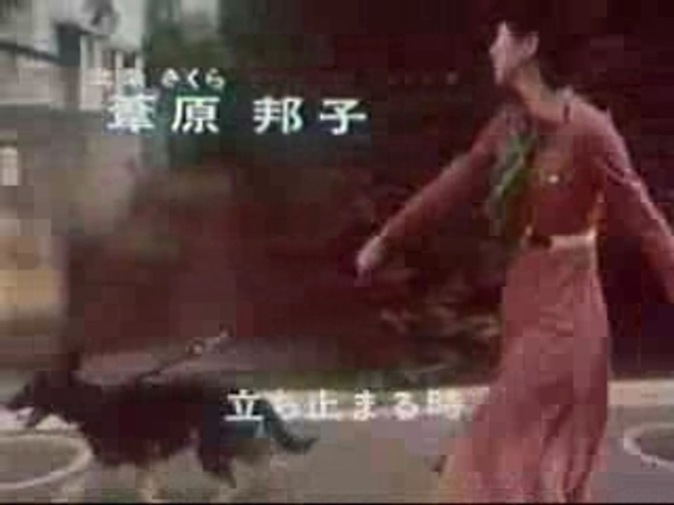 刑事犬カール 動画 Dailymotion