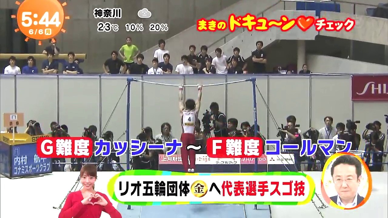 内村航平 カッシーナ(G)→コールマン(F)→ゲイロード2(E)@2016全日本体操種目別