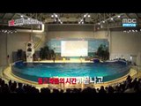 쇼타임-버닝 더 비스트 - [HD]10회 기광 돌고래와 함께놀기/ ep.10 ki-kwang Playing with dolphin/イルカショー