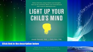 Big Deals  Light Up Your Child s Mind: Finding a Unique Pathway to Happiness and Success  Best