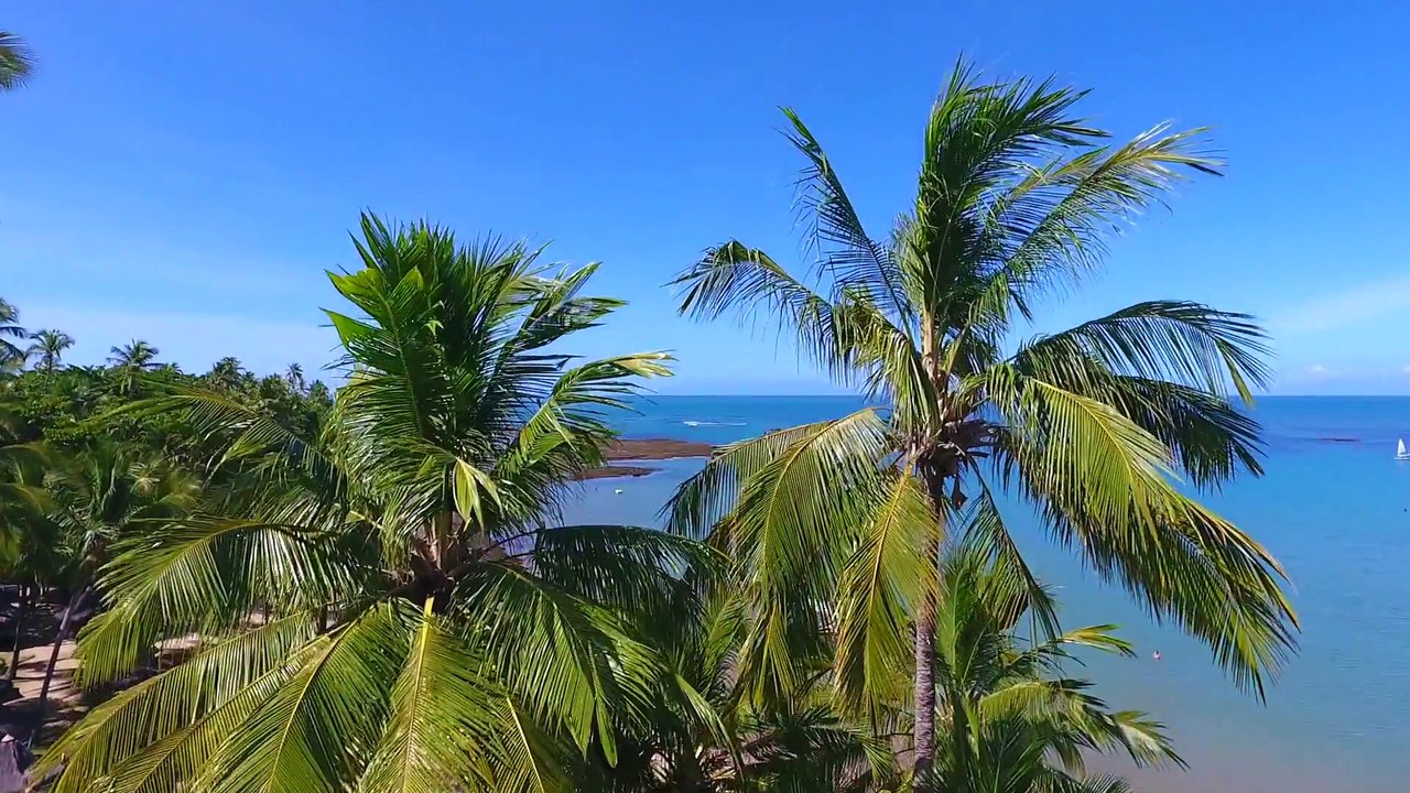 As Melhores Praias Da Praia Do Forte - Drone 4K