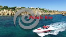 Private boat charter by AlgarExperience (Albufeira, Algarve, Portugal)