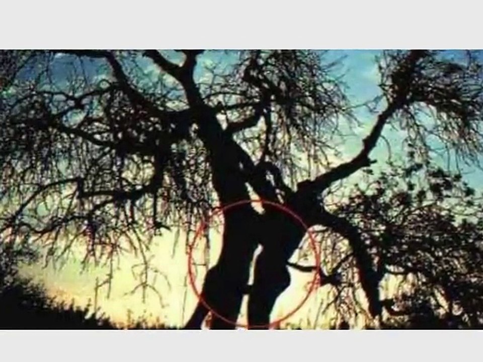 Plants that go bad - hilarious video of nature