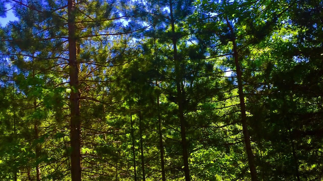 John Lennon - One Day At A Time (cover)