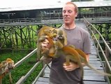 Never peel bananas near monkeys