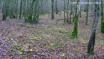 Au Coeur de la Traque