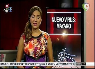 La nueva amenaza del nuevo virus mayoro y que se encuentra en haiti