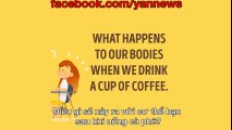 Điều gì sẽ xảy ra trong cơ thể khii bạn uống một cốc cà phê?