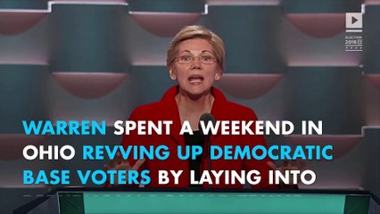 Elizabeth Warren: 'Nasty little bully' Trump has 'dark and ugly Soul'