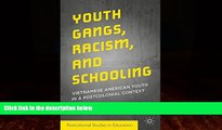 Big Deals  Youth Gangs, Racism, and Schooling: Vietnamese American Youth in a Postcolonial Context