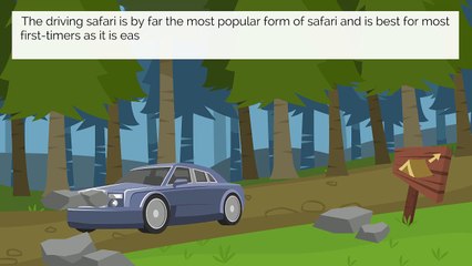 African Safaris to Suit You