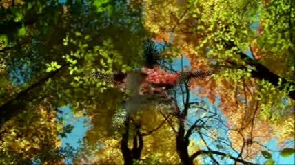 ÜŞÜMÜYORDU Seslendiren Video Tasarım Aynur AVCI