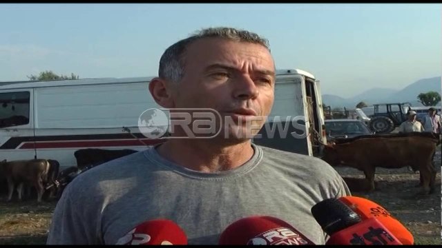 Shkodër, sëmundja e gjedhit, Kraja: Paraqet rrezik të lartë, masa urgjente