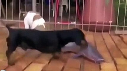 bá đạo rồi..hài quá đi mất thôi.