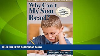 Big Deals  Why Can t My Son Read?: Success Strategies for Helping Boys with Dyslexia and Reading