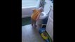 Toddler Makes Fun of His Mommy's Morning Sickness