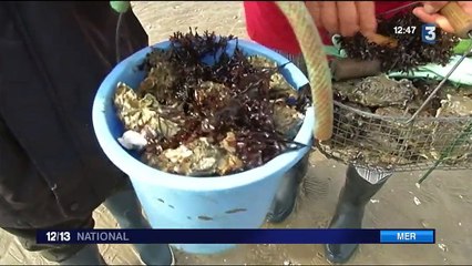 Loisirs : le retour des grandes marées