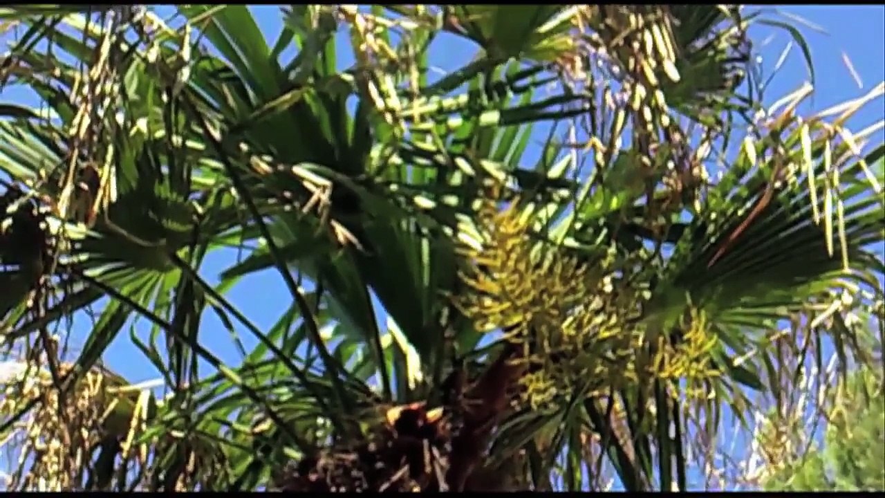 Spirit Sound Kroatien Folge 04 /Full Film/Complete Movie/Ganzer Film