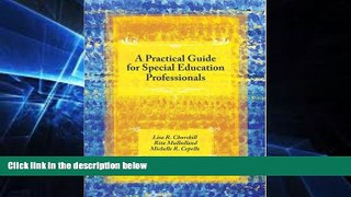 Big Deals  A Practical Guide for Special Education Professionals  Best Seller Books Most Wanted