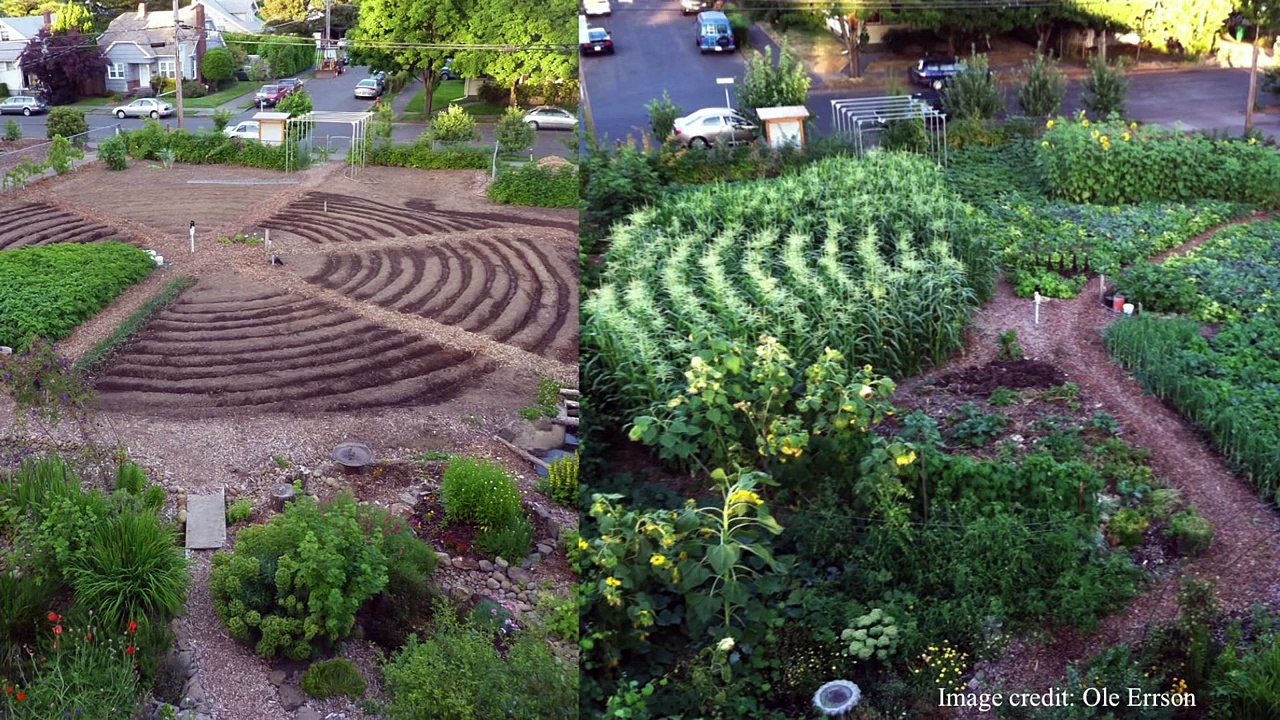 The taboo secret to better health - Molly Winter