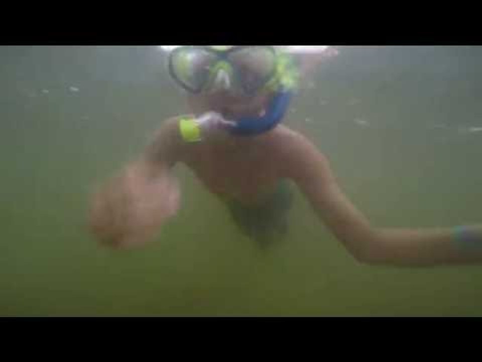 GoPro Snorkeling Footage At The Beach - Late Summer Fun!