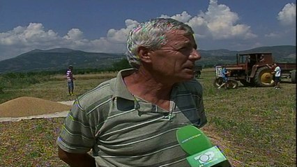 Gruri "mërzit" fermerët - Top Channel Albania - News - Lajme