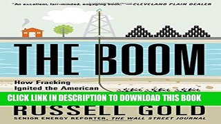New Book The Boom: How Fracking Ignited the American Energy Revolution and Changed the World