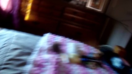 Cats Knocking Stuff Over  Compilation