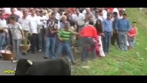 Amazing Bullfighting Festival - Bull Fighting Accidents #2 - CRAZY Funny Videos Try Not to Laugh