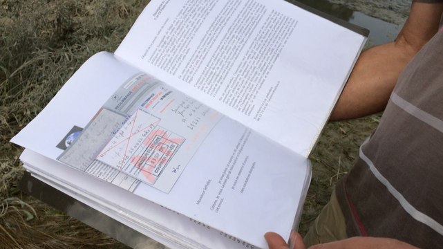 Algues vertes: les associations sur le lieu du décès du joggeur