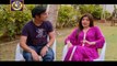 Watch Bulbulay Episode 251 on Ary Digital in High Quality 19th September 2016