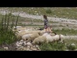 Report TV - Gjirokastër, dyshohet se u prek nga antraksi,humb jetën në spital çobani
