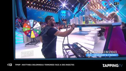 TPMP : Matthieu Delormeau paniqué face à des insectes, hystérie sur le plateau (Vidéo)