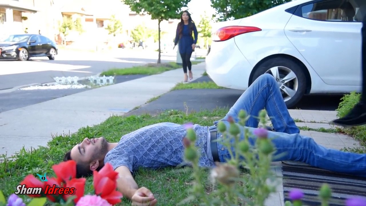 Best Funny video
