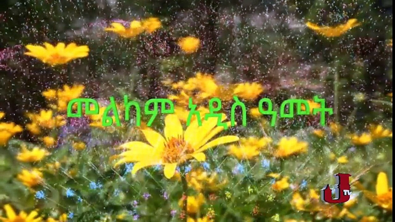 Jtv - Jossy in Z House - New Year Special with Manalemosh Dibo Family