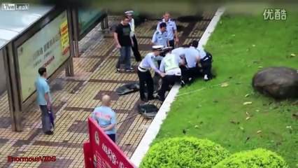 Instant karma - Instant justice - Compilation 2016 #5
