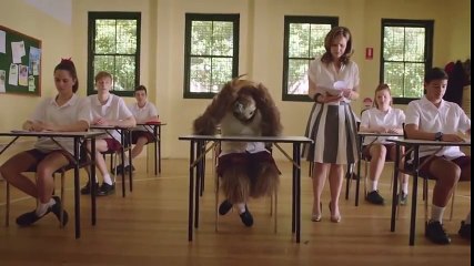 Stoner Sloth Compilation