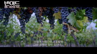 빈야드, 레드 와인의 저주 예고편 The Vineyard, Trailer 2014