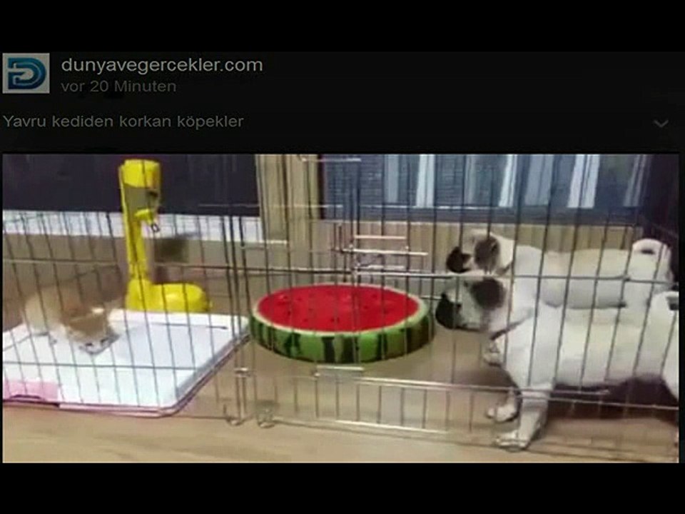 074.1 tam aradığı  ortamlardan biri...