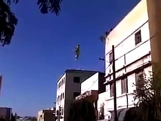 الأضحية التي فرّت هروب خروف العيد ومطاردة على الطريقة الهوليودية