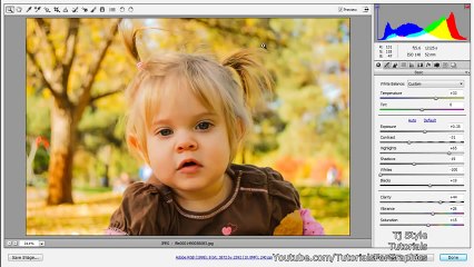 Color Correction In CAMERA RAW Photoshop Cs6 For Beginners Part 13